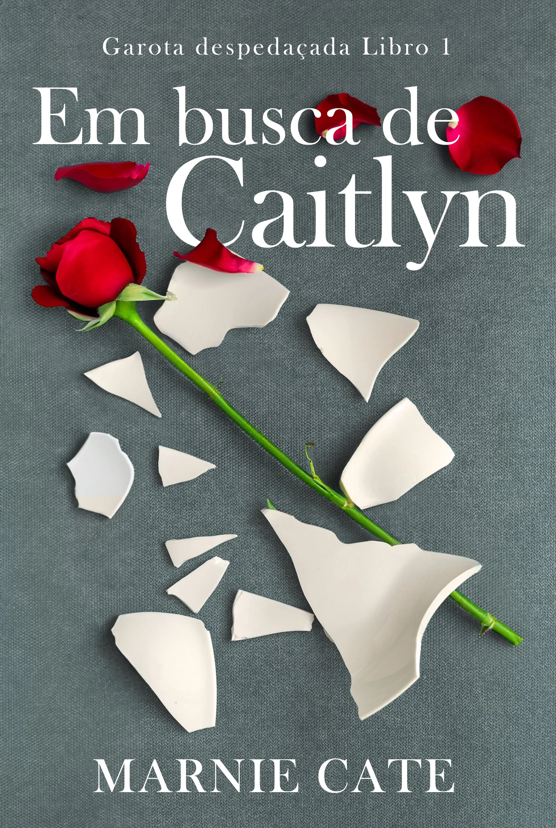 Em busca de Caitlyn (Garota despedaçada Libro 1)