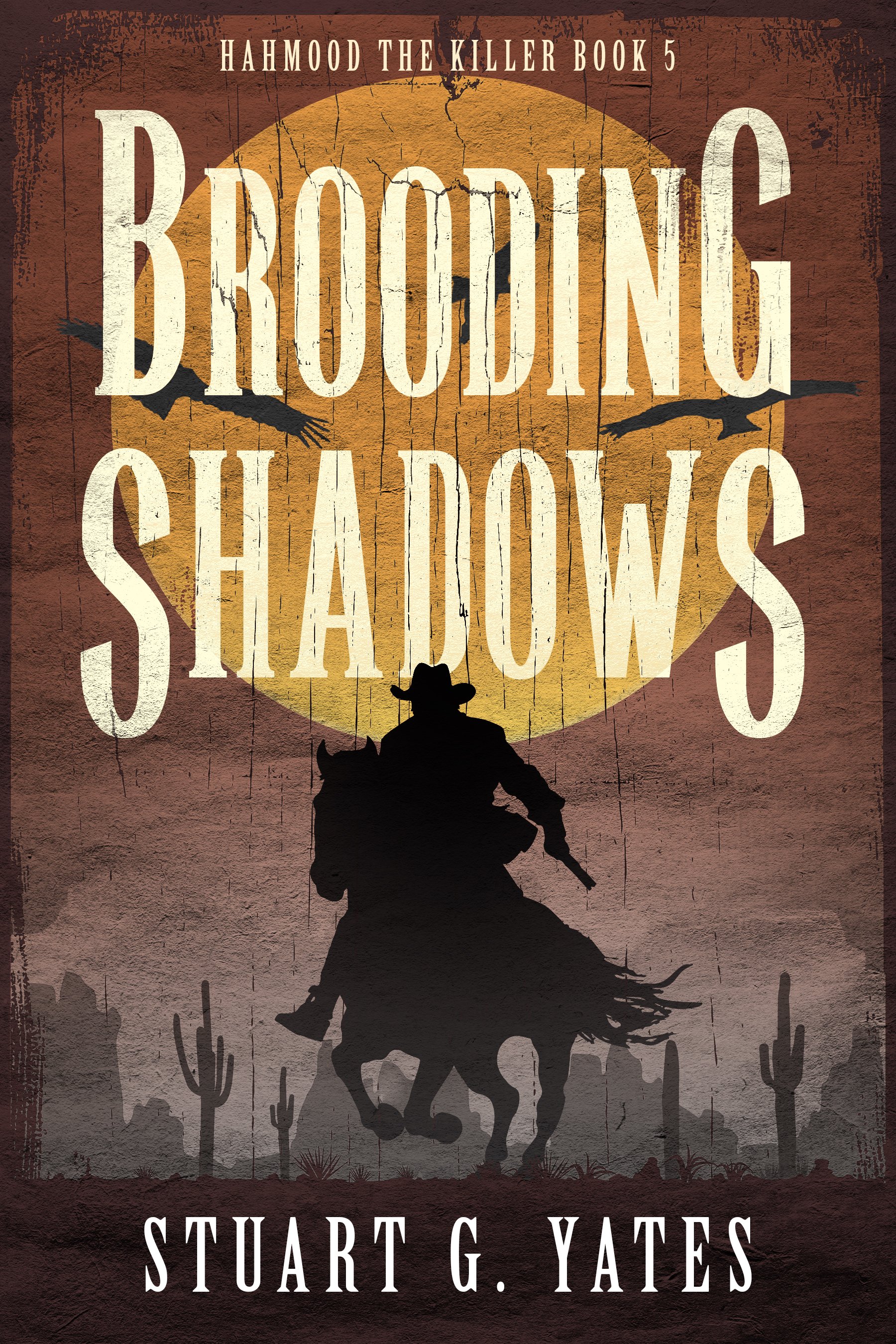 Brooding Shadows (Hahmood The Killer Book 5)