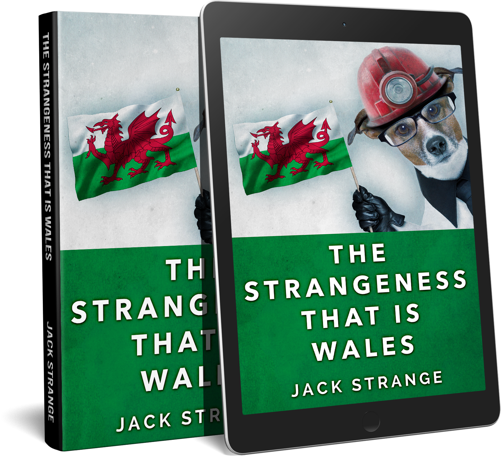 The-Strangeness-That-Is-Wales-Promo-Hardback-Ereader.png