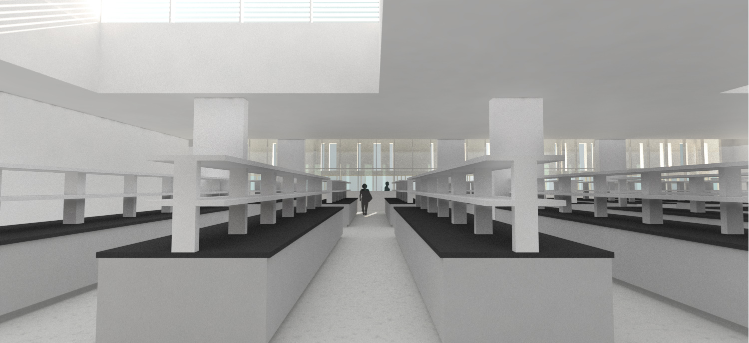 Daylighting study of lab interior. Large light monitors provide ample daylight even far from windows.