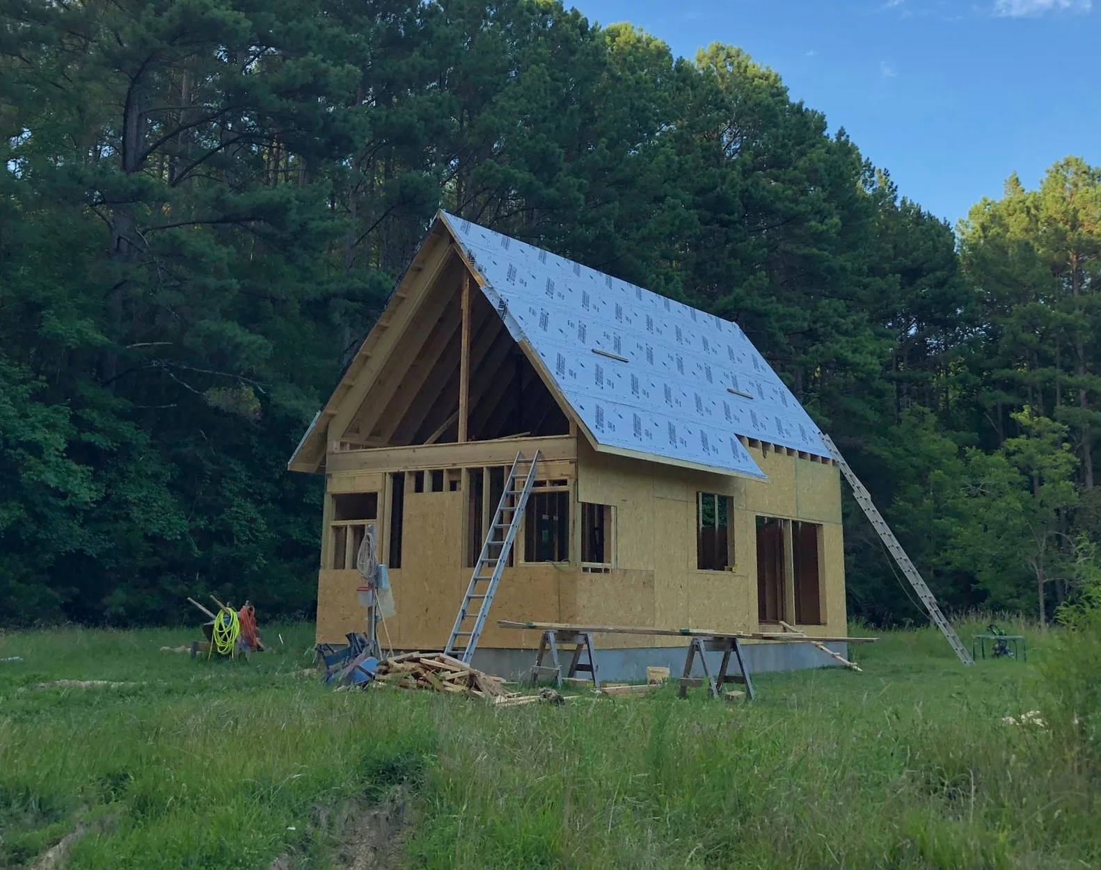  Taking shape. June 2019. 