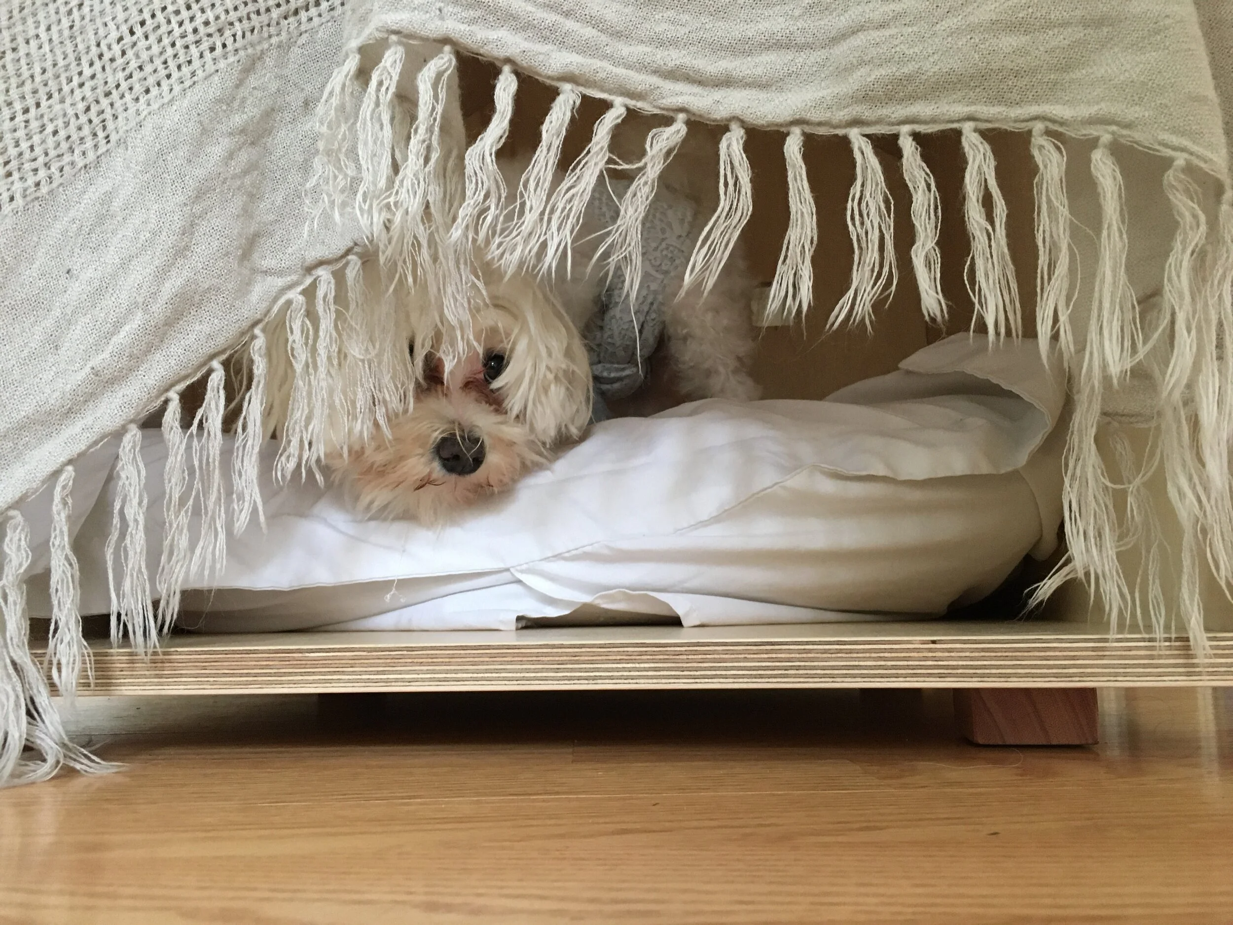  Please, do not disturb me during my siesta! 