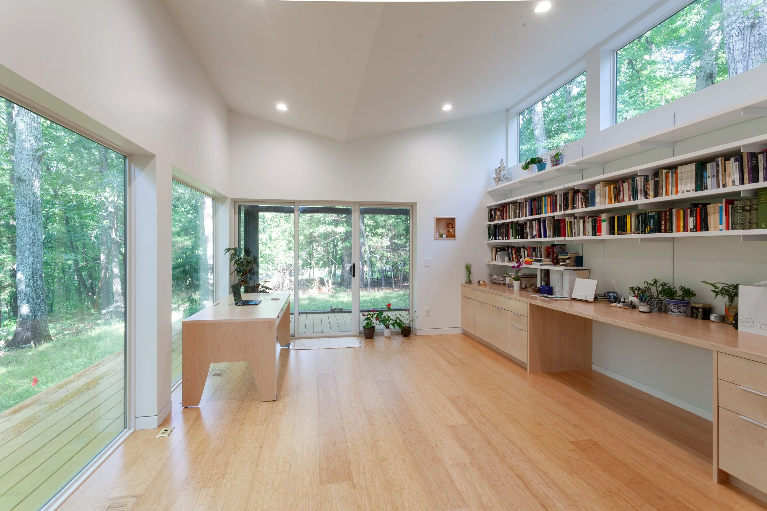  Natural light and forest views 