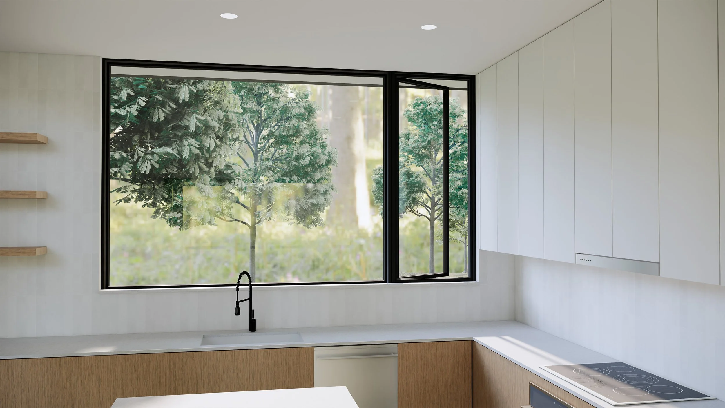 Kitchen Window.