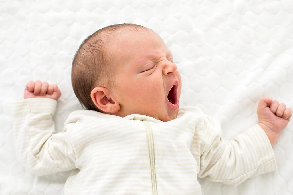 baby yawning 72 dpi.jpeg