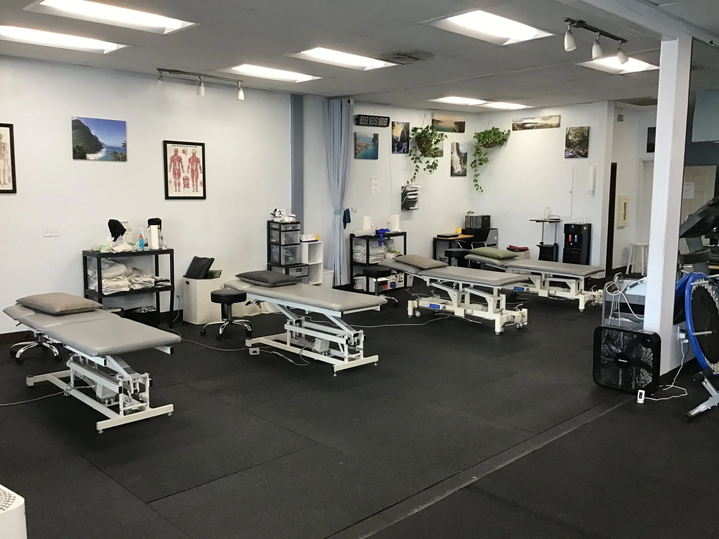 Positive Physical Therapy and Fitness
