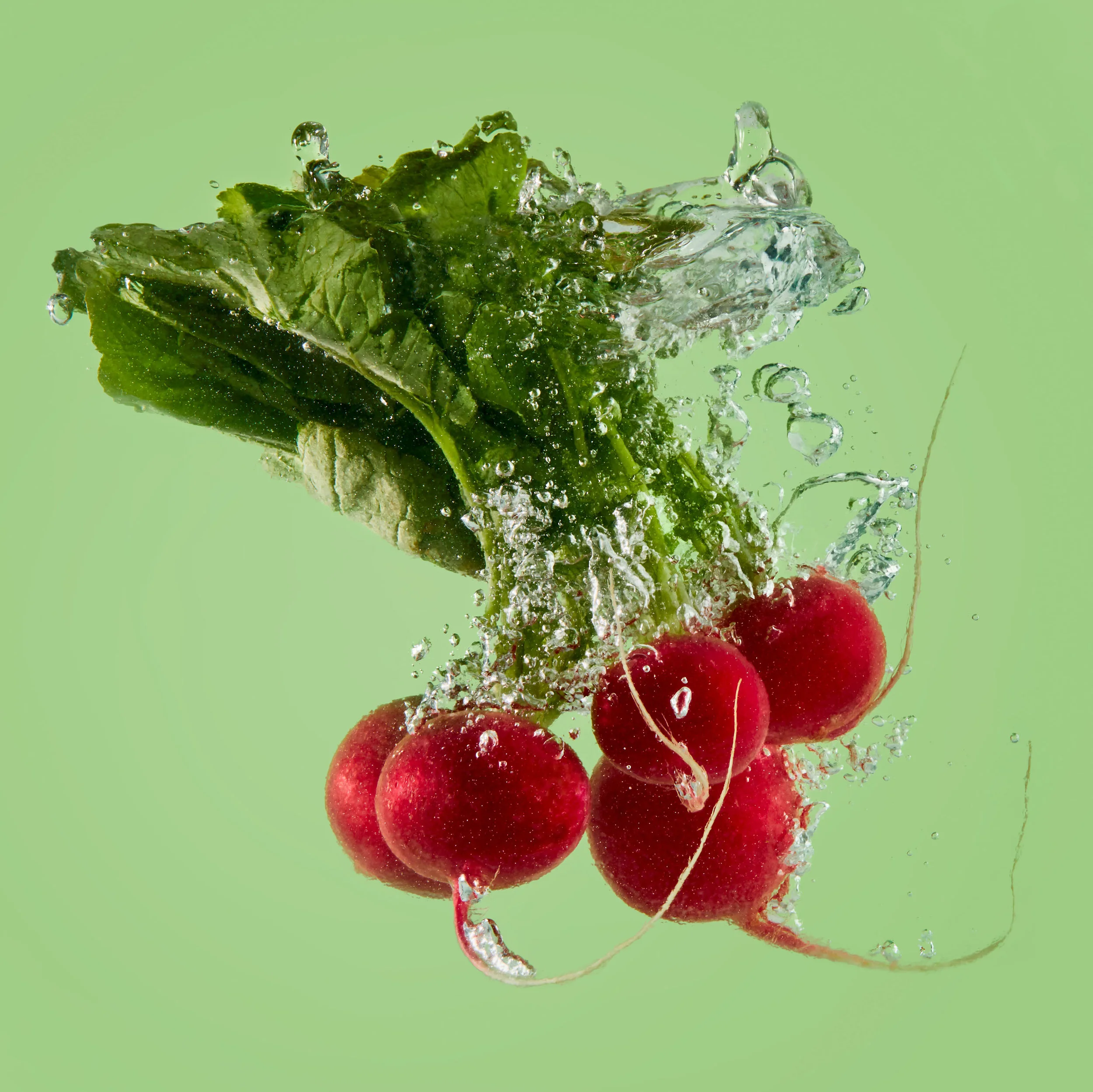 Water Shoot_Radishes.jpg