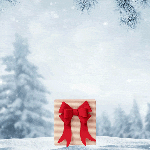 SD_GiftOpen_1x1.gif