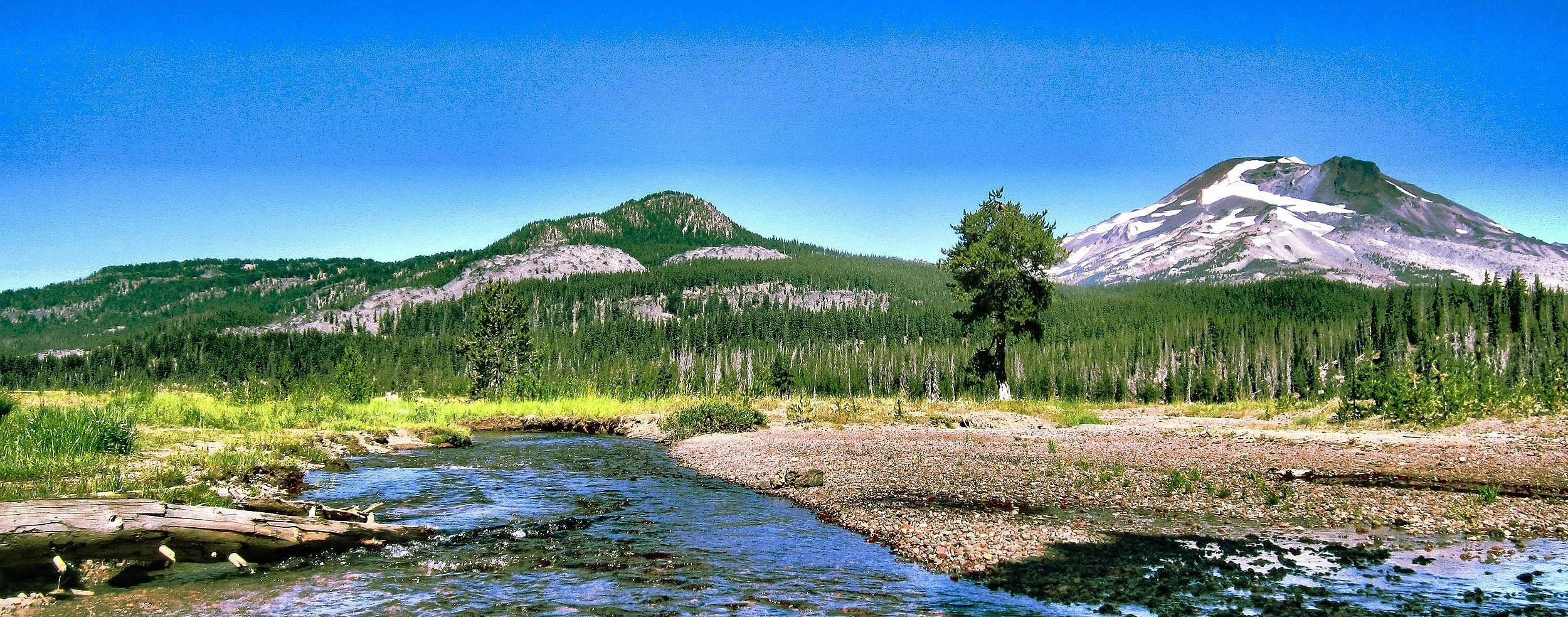 image3.jpg