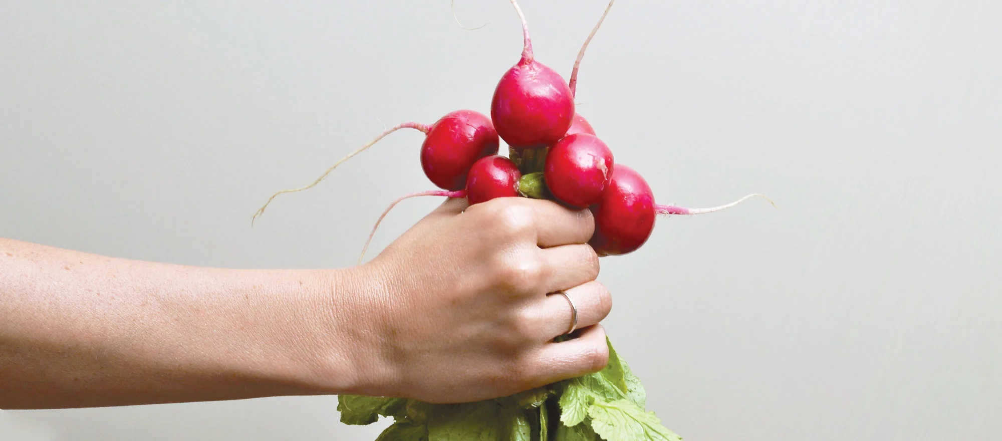 ColourPalate_Backgrounds_HoldingRadishes3.jpg