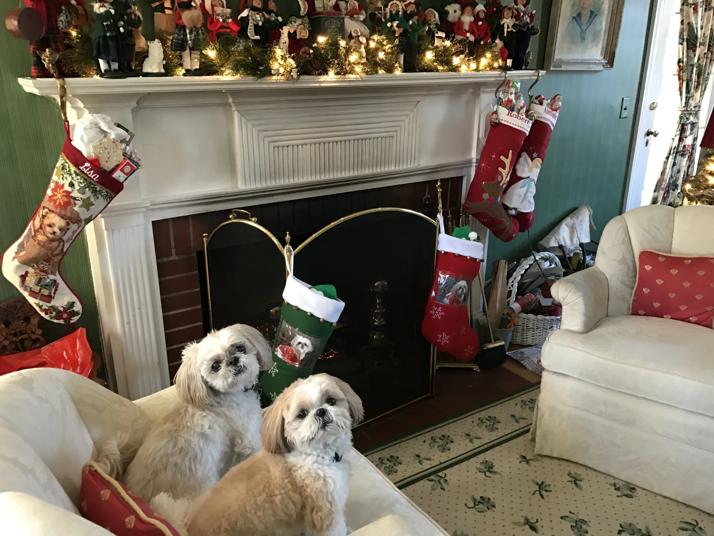 xmasdogs.JPG