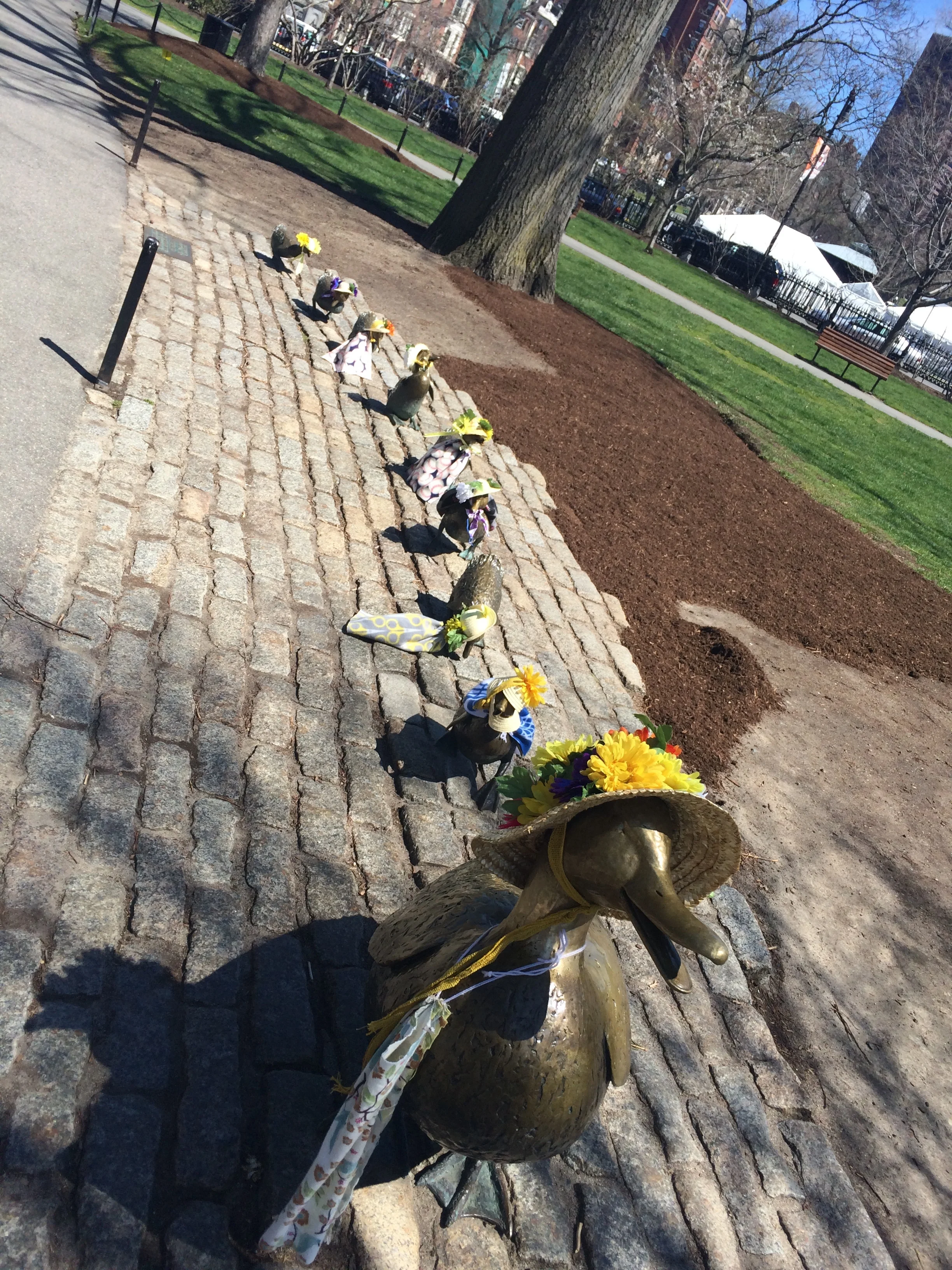 ducks.JPG