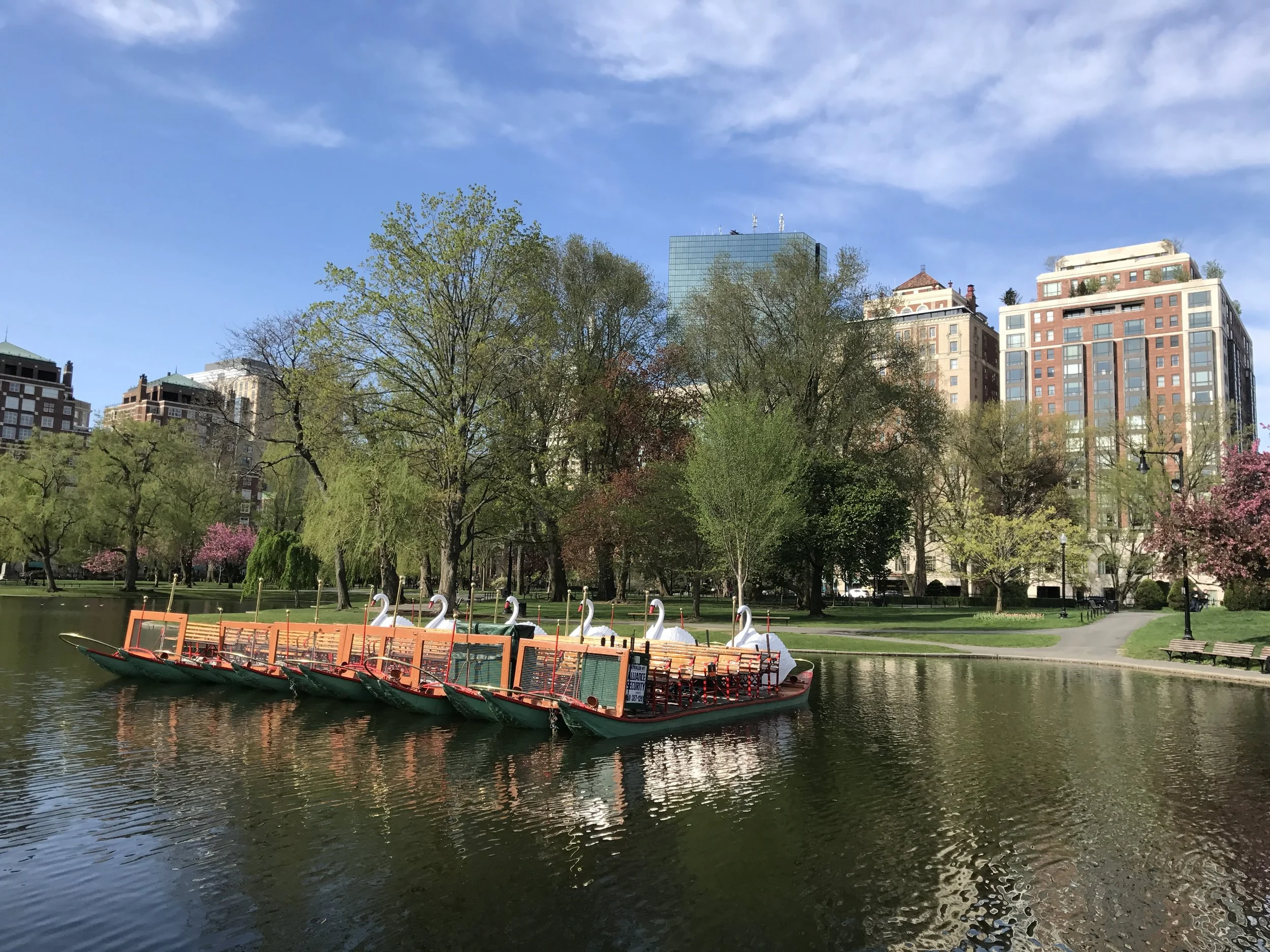 swanboats.JPG