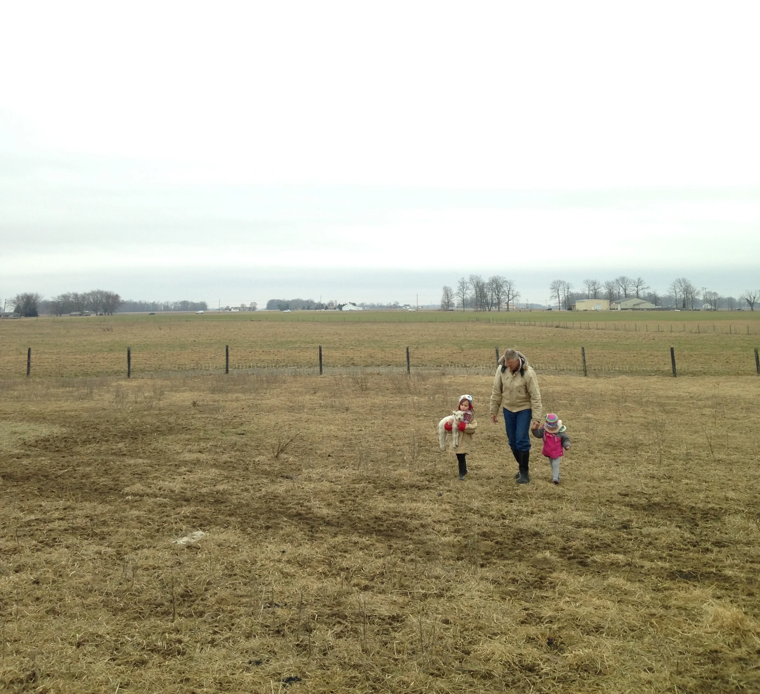 Girls+with+lambs.jpg