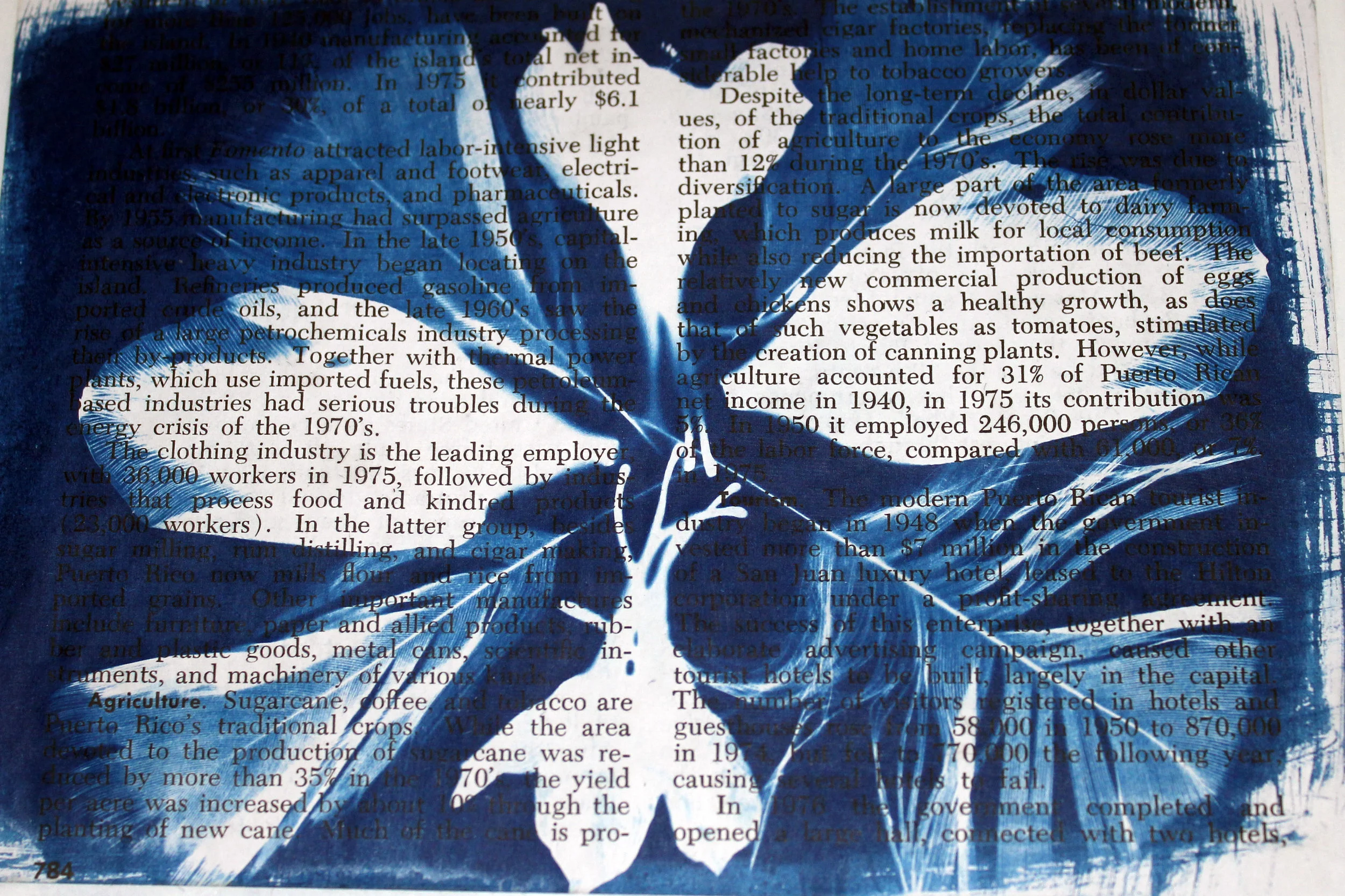 pr 1970, 2012, Cyanotype on encyclopedia page