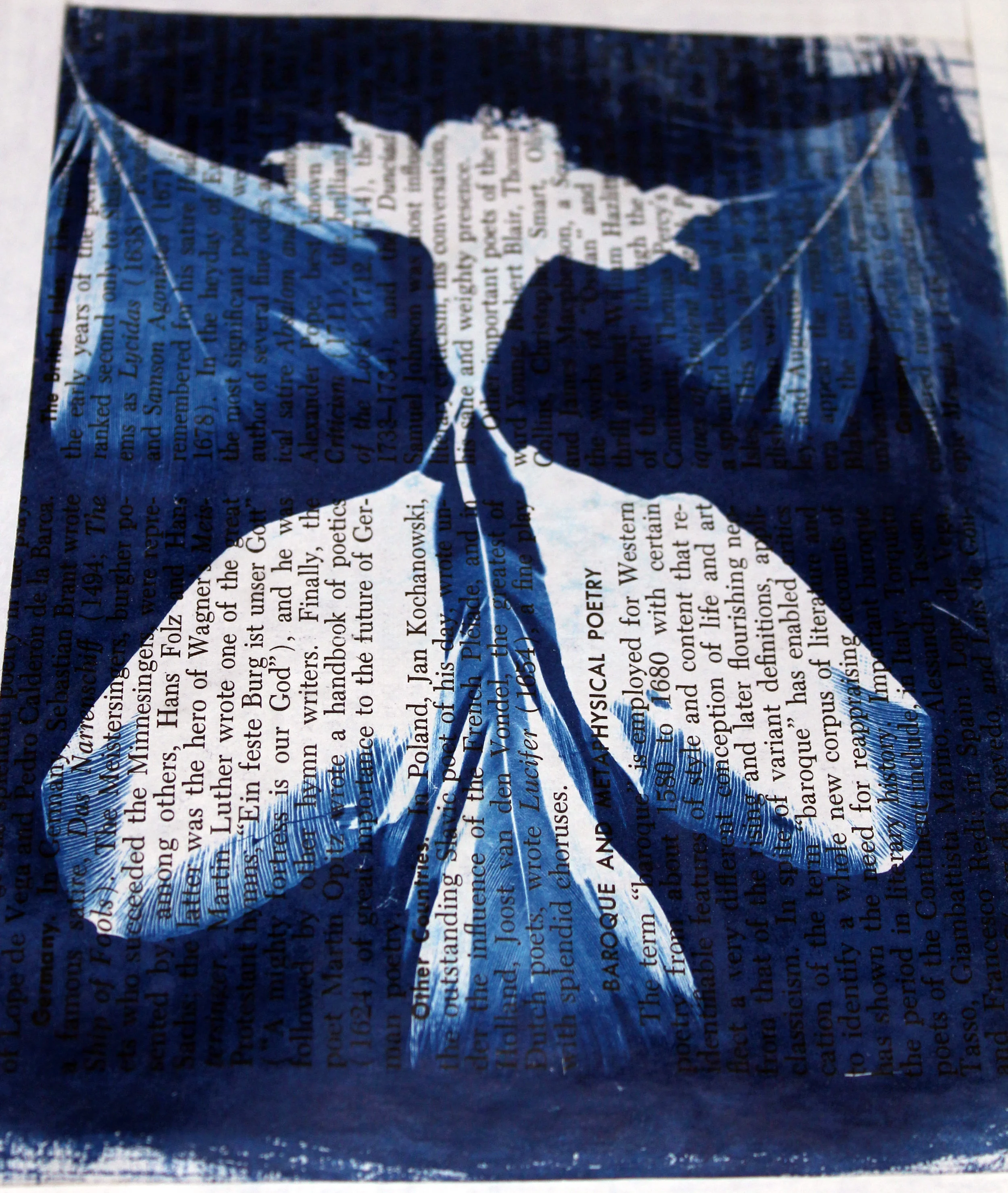 baroque and metaphysical poetry, 2012, Cyanotype on encyclopedia page