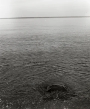 northshore, 2007, palladium print