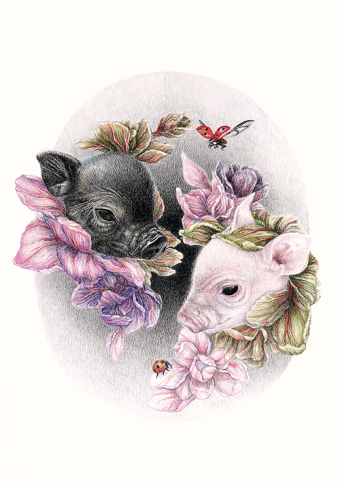 piglet_heaven_web.png
