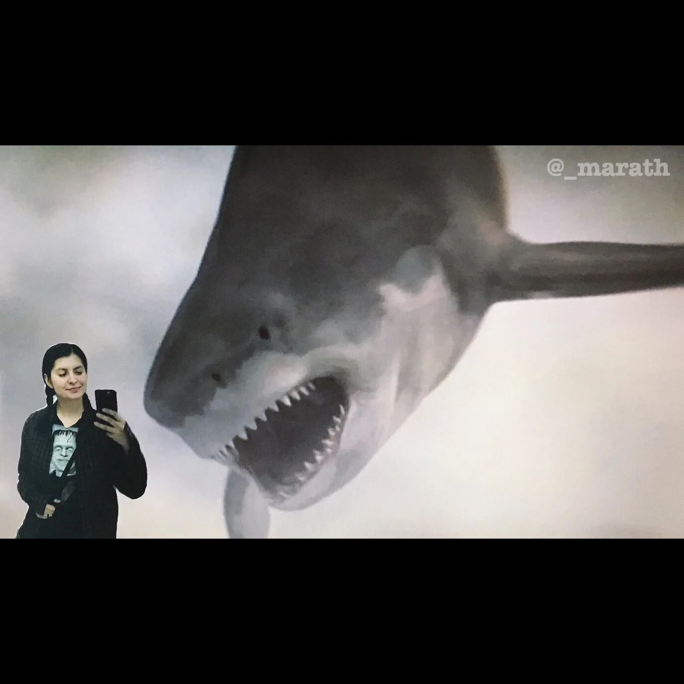  Y2.12 #marathINSIDE  Sharknado (2013) : When you are so extra you defy the laws of physics. 