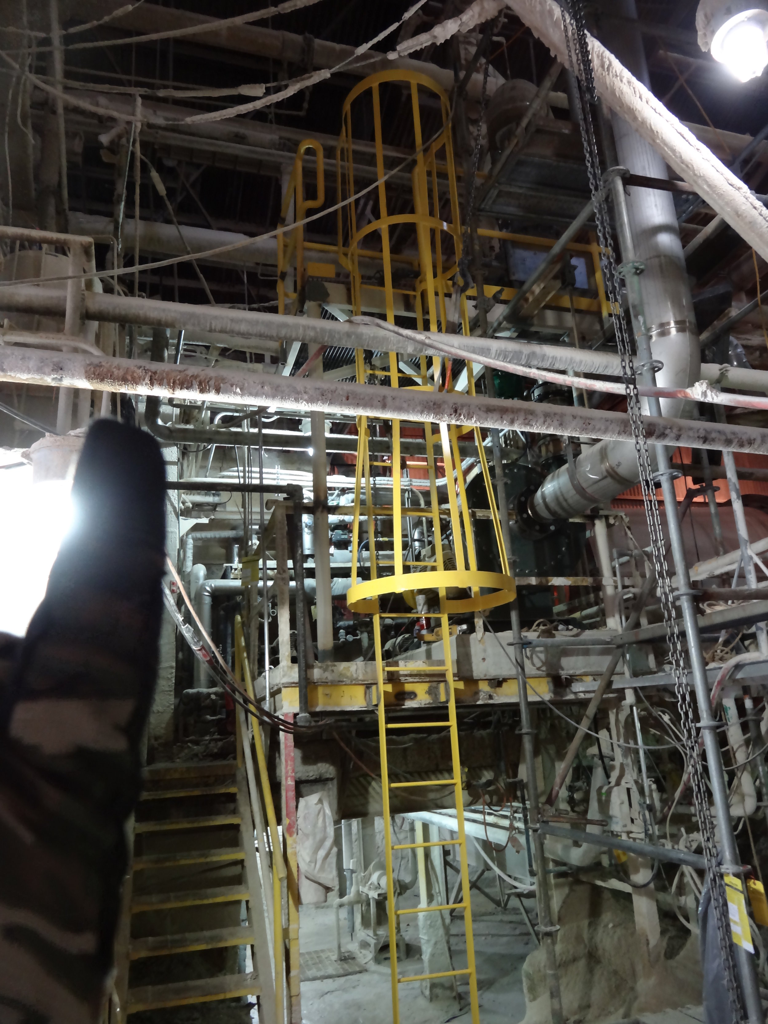 Lincoln Paper and Tissue Access Platform