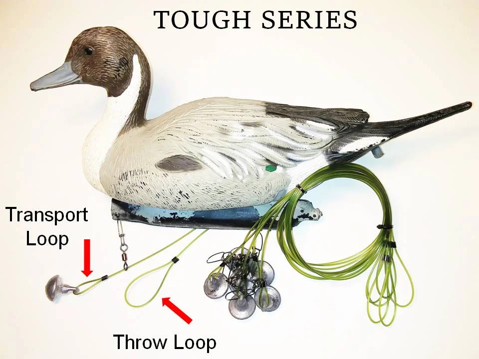 Tough Main.JPG