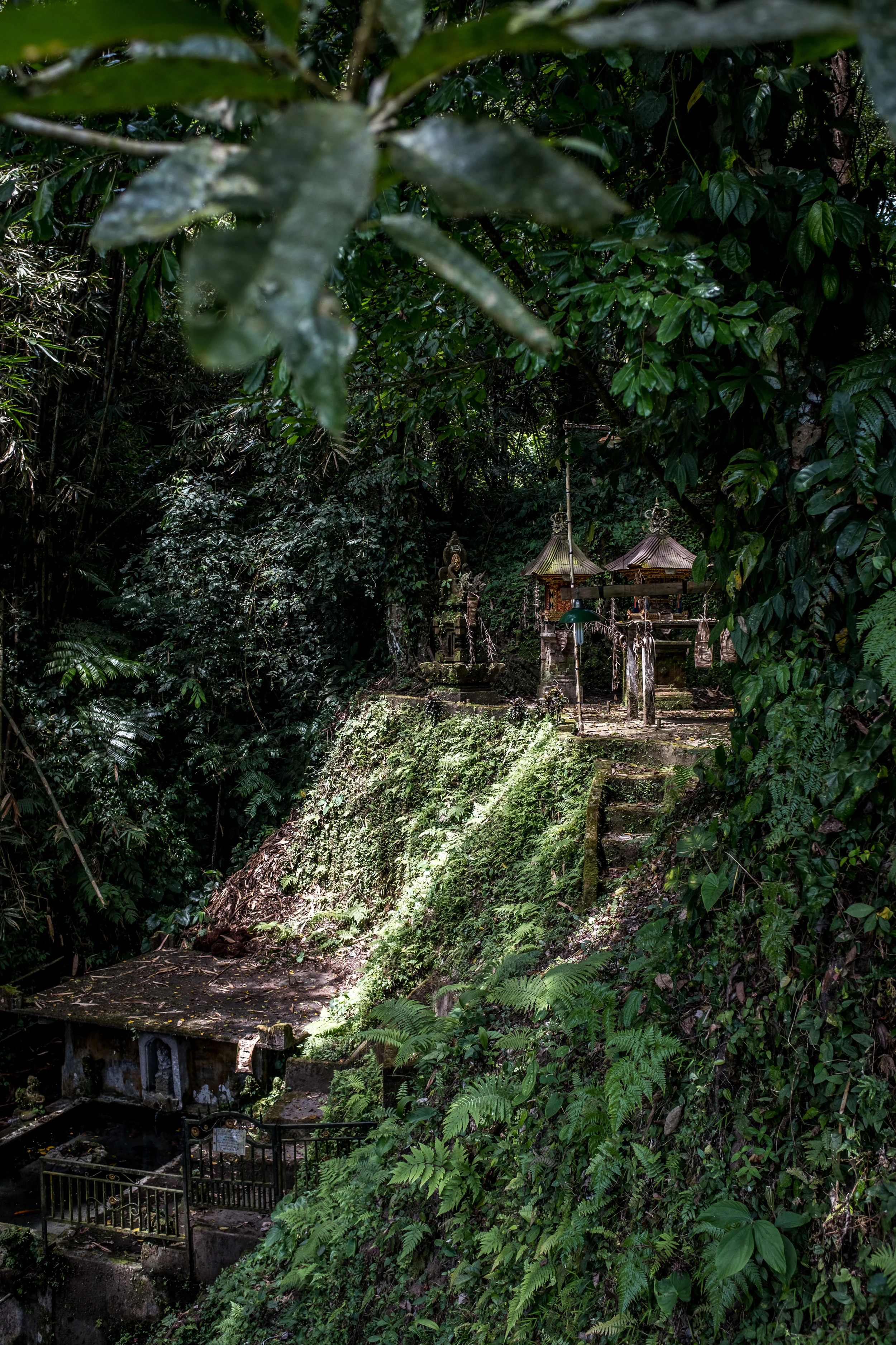 Trainspotting in Time