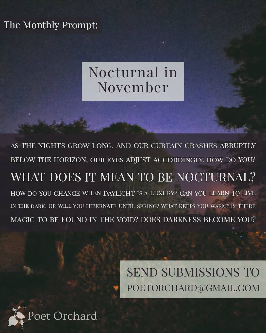 Daylight savings AND Election week, what a way to start off seasonal depression season! We were tempted to stay holed up, but instead we're using the lack of sunlight and general anxiety to fuel another prompt. 
November's inspiration: 🦇Nocturnal Ex