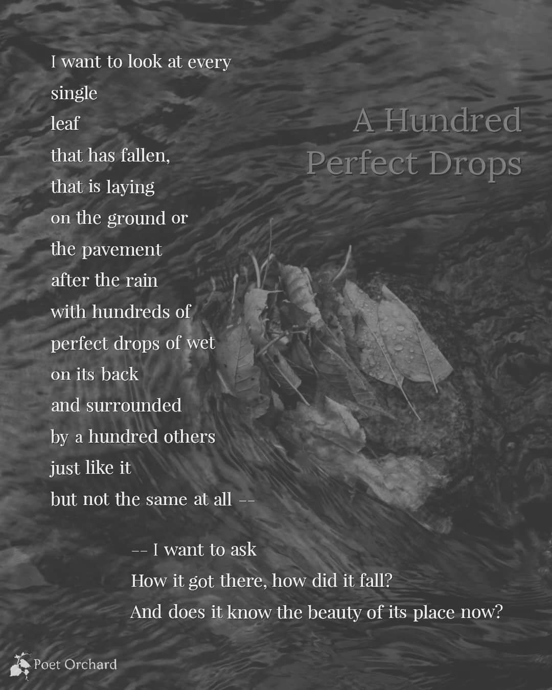 A Hundred Perfect Drops &bull; Christie Flemming &bull; 2020 
.
.
Closing out our month of Salvation in the Simple, a poem from Christie Flemming to usher us into fall and ease the landing. Let us know what simple things you've been noticing. 
🍁
Kee