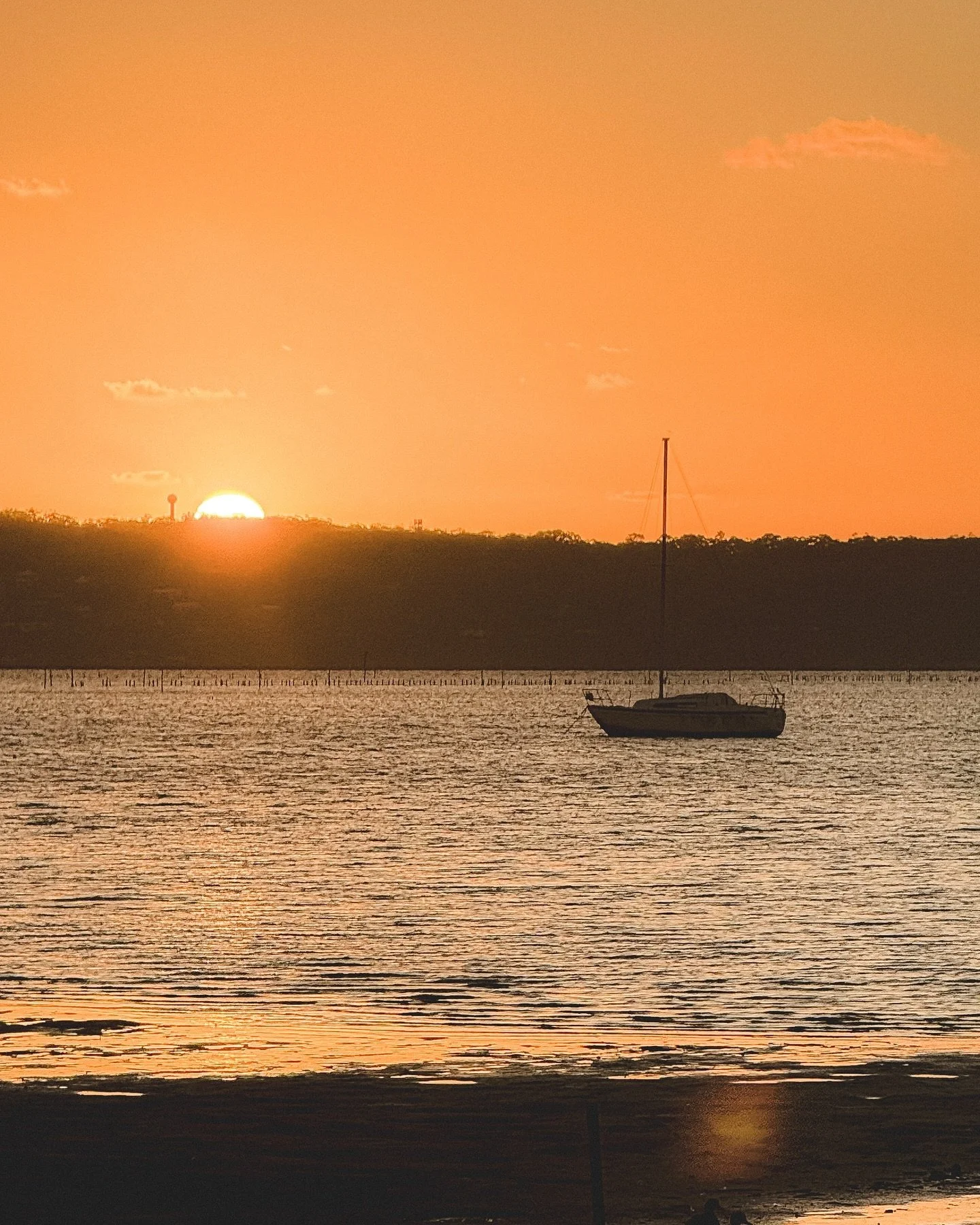 As the sun sets on 2024, I find myself reflecting on a year that&rsquo;s been nothing short of a rollercoaster. There were highs that took me to new heights, lows that tested my resilience, and countless lessons that shaped me into a better version o