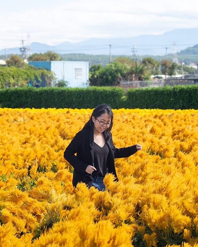 I don't think I was even trying to pose at this point, I think I was trying not to fall into the mud of the field. Pretty isn't it though, there were like 9 different giant fields of flowers, highly recommend going for anyone who wants to take photos