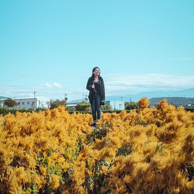 Went to Taiwan with @marideluria for a few days, and the 1 thing he asked we do was for us to go to a field of flowers and take pictures.

Tbh that morning was the most difficult of the whole trip because I knew in the back of my mind that being a ph