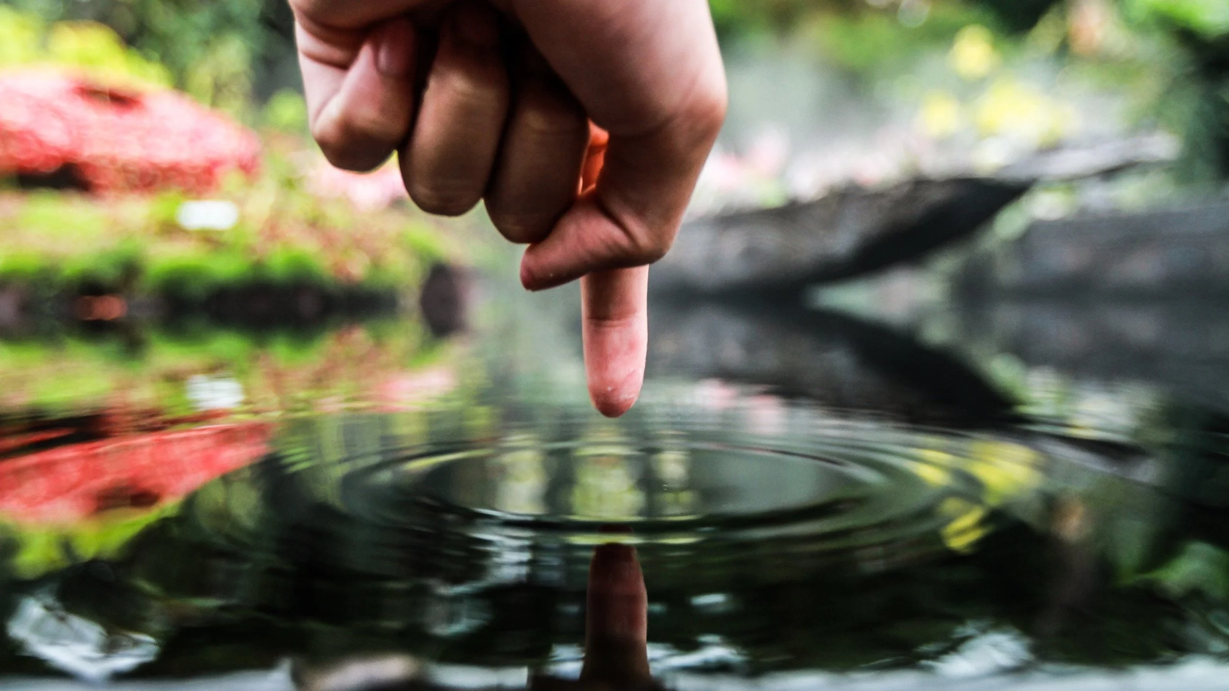 White man's finger touching water and creating ripples with fall colors in the background-min.jpeg