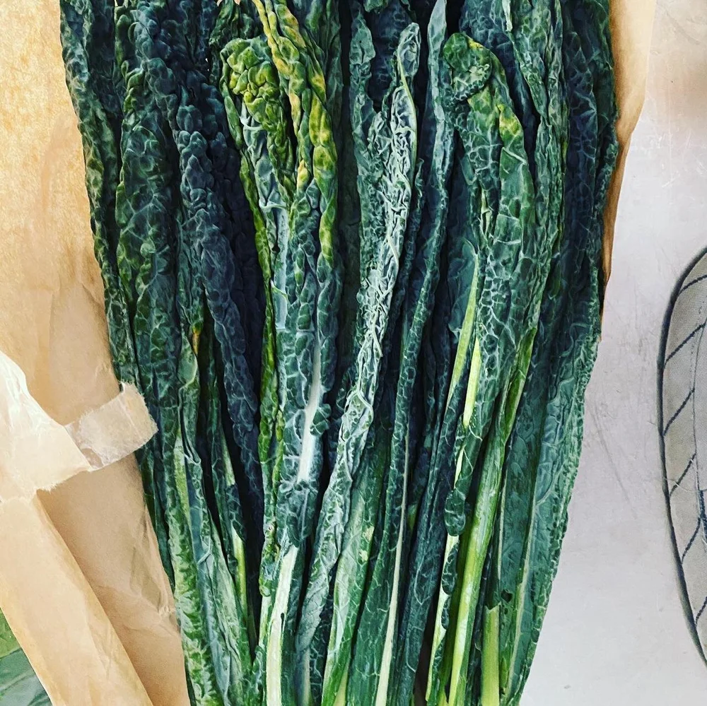 WhatsApp Image 2020-04-30 at 16.47.12.jpeg