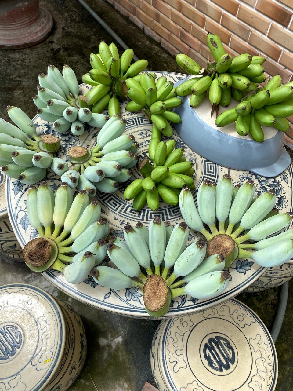 WhatsApp Image 2024-09-28 at 08.21.33.jpeg