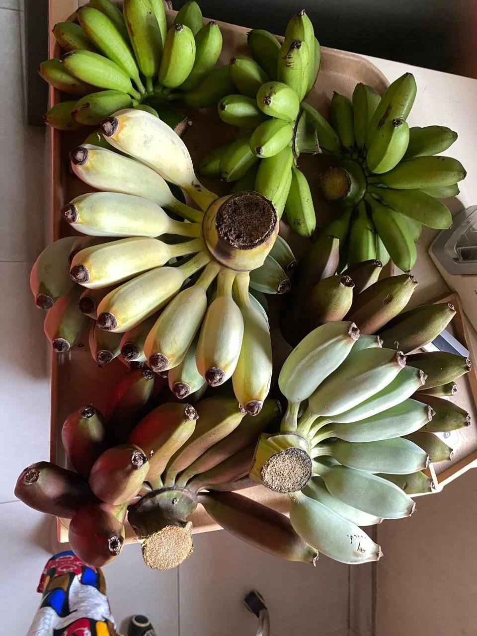 WhatsApp Image 2024-09-28 at 08.21.33 (1).jpeg