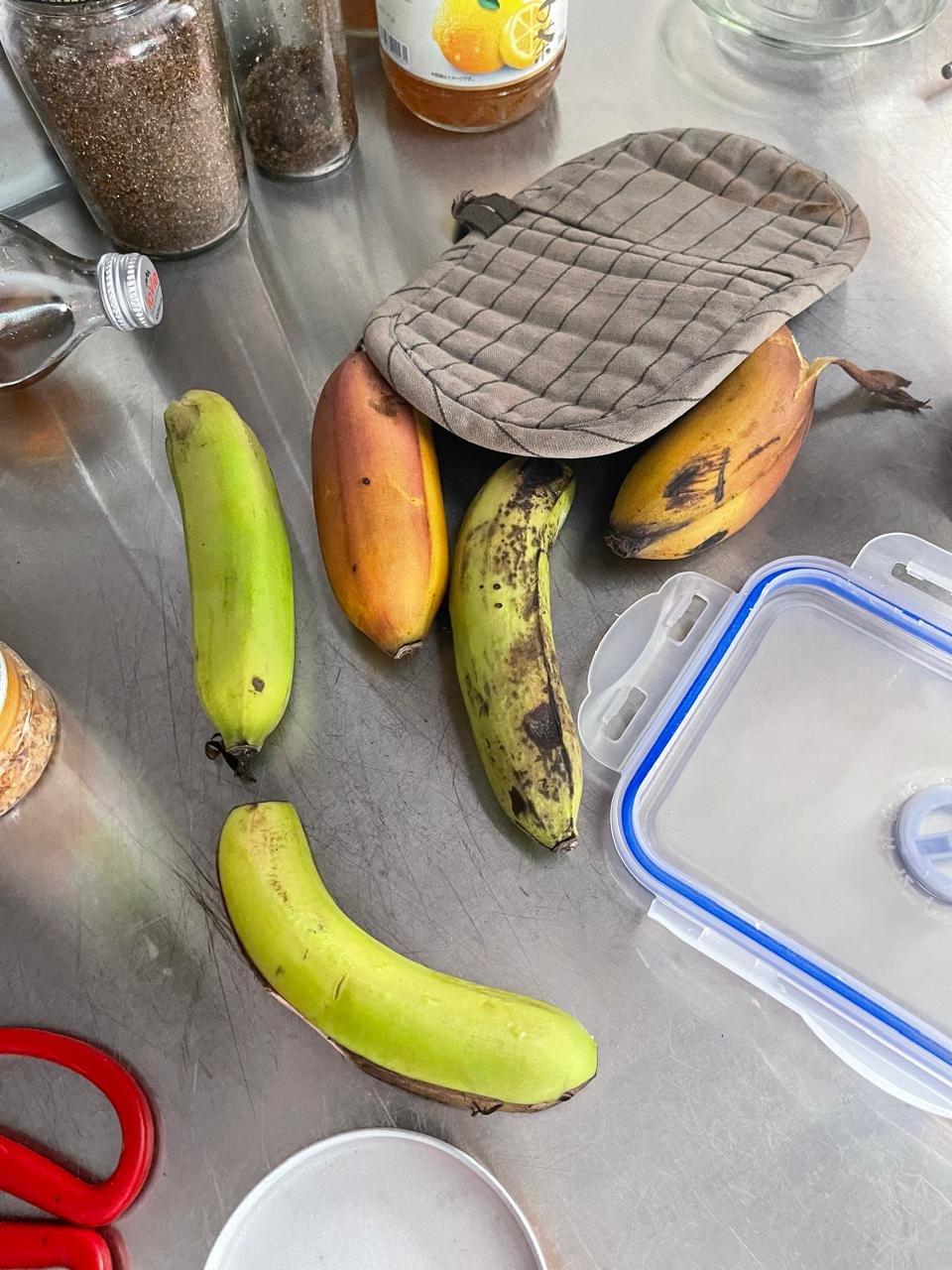 WhatsApp Image 2024-09-28 at 08.35.47.jpeg