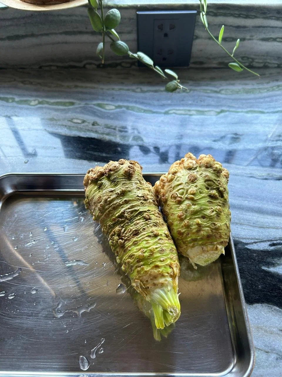 WhatsApp Image 2024-10-27 at 12.39.38.jpeg