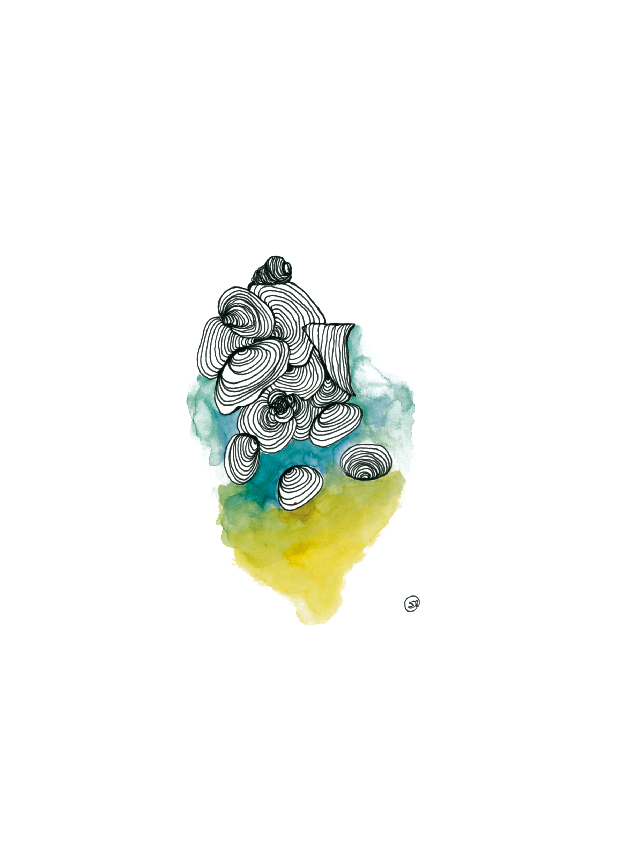 Seashells.png