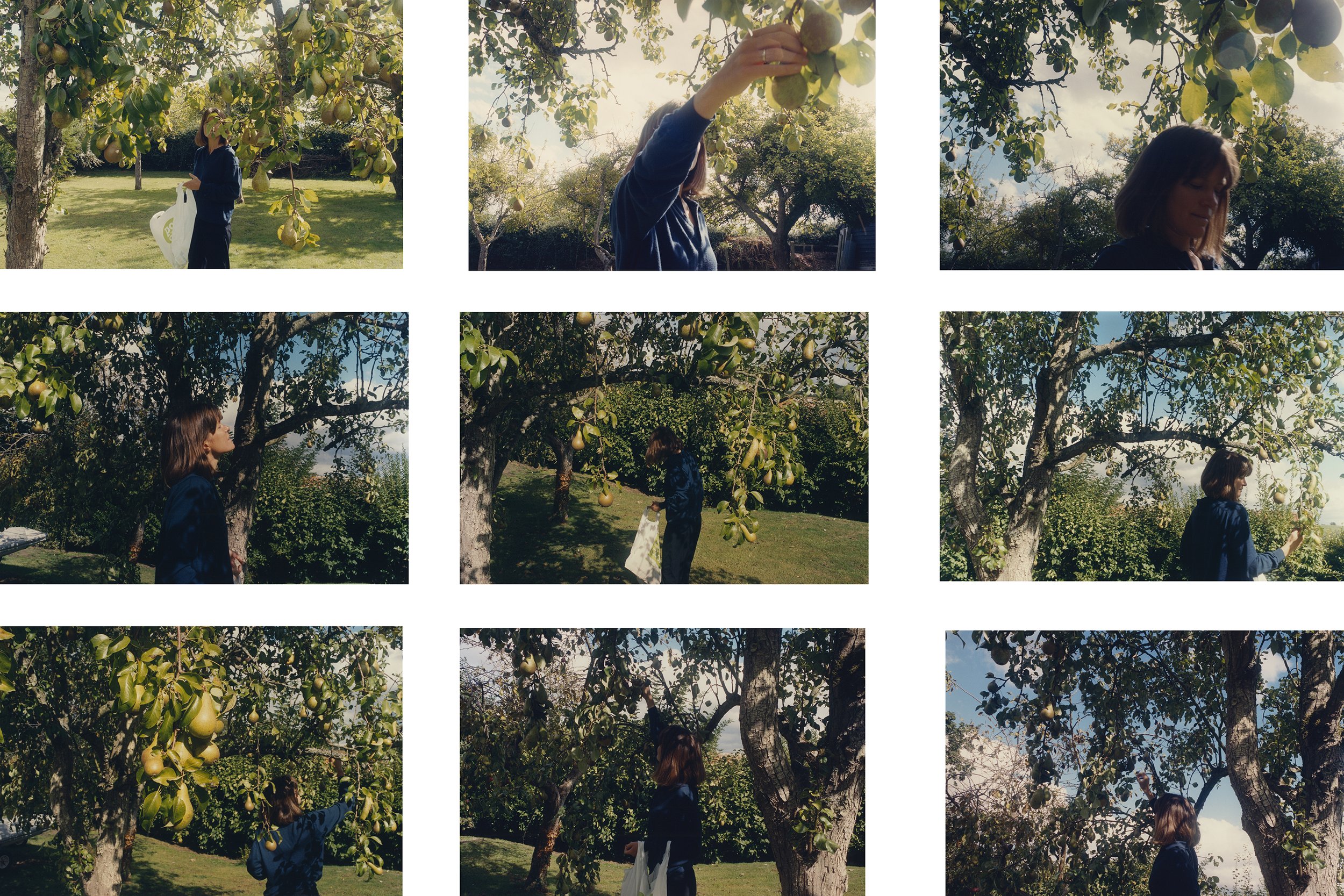 LF_OLIVES_2020 (versiom2).jpg