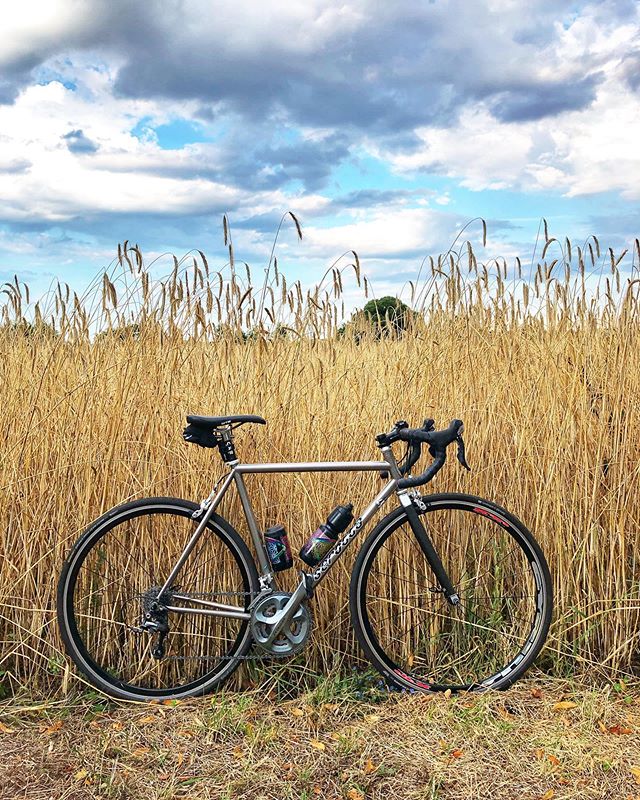 This is how a happy bike looks like 🌞🌾
⠀⠀⠀⠀⠀⠀⠀⠀⠀
It might be a little less happy now, though, since I didn&rsquo;t take it on its beloved weekend ride 😠 But working full time, so many things get left undone during the week... so, sometimes, my wee