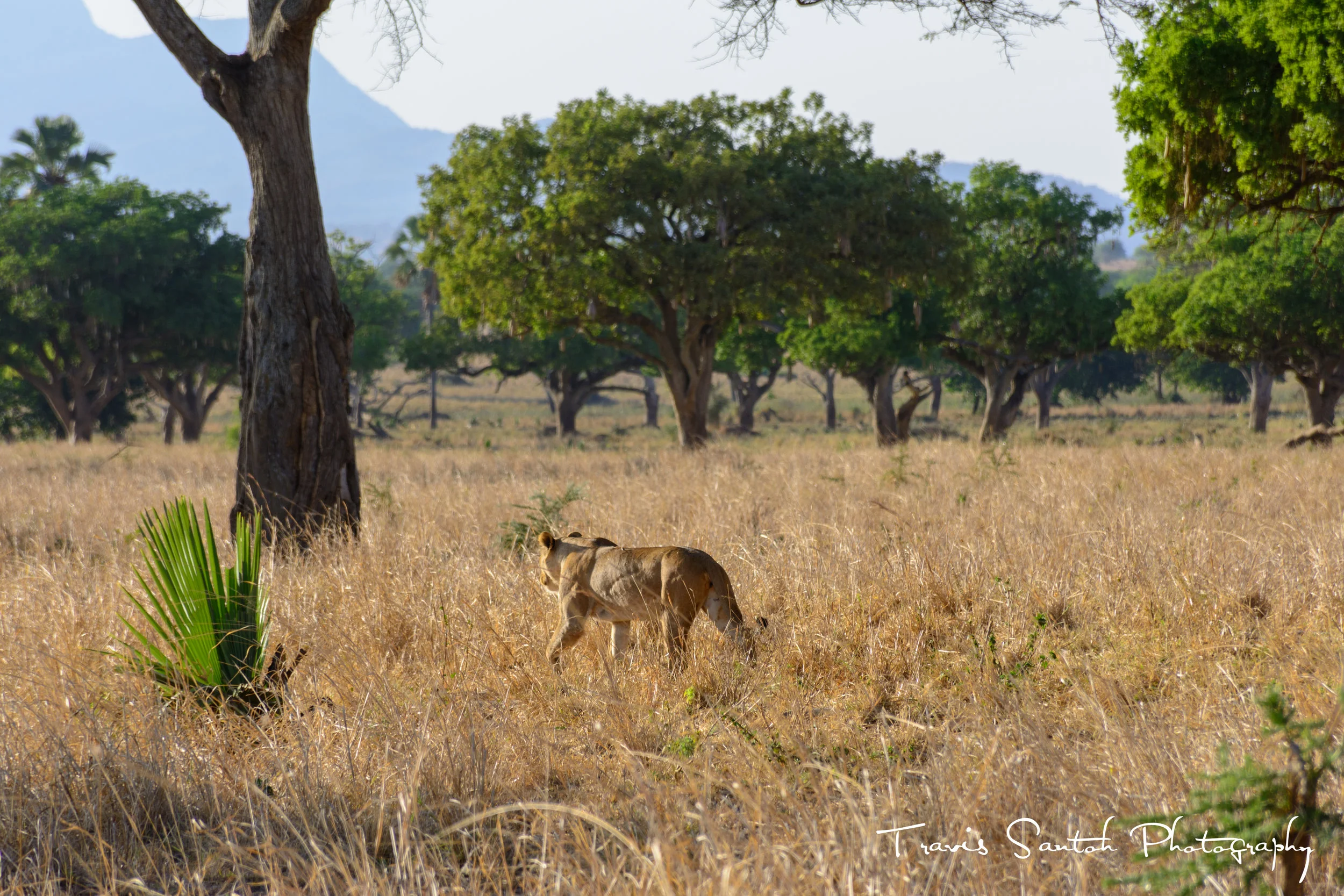 DSC_9638.jpg