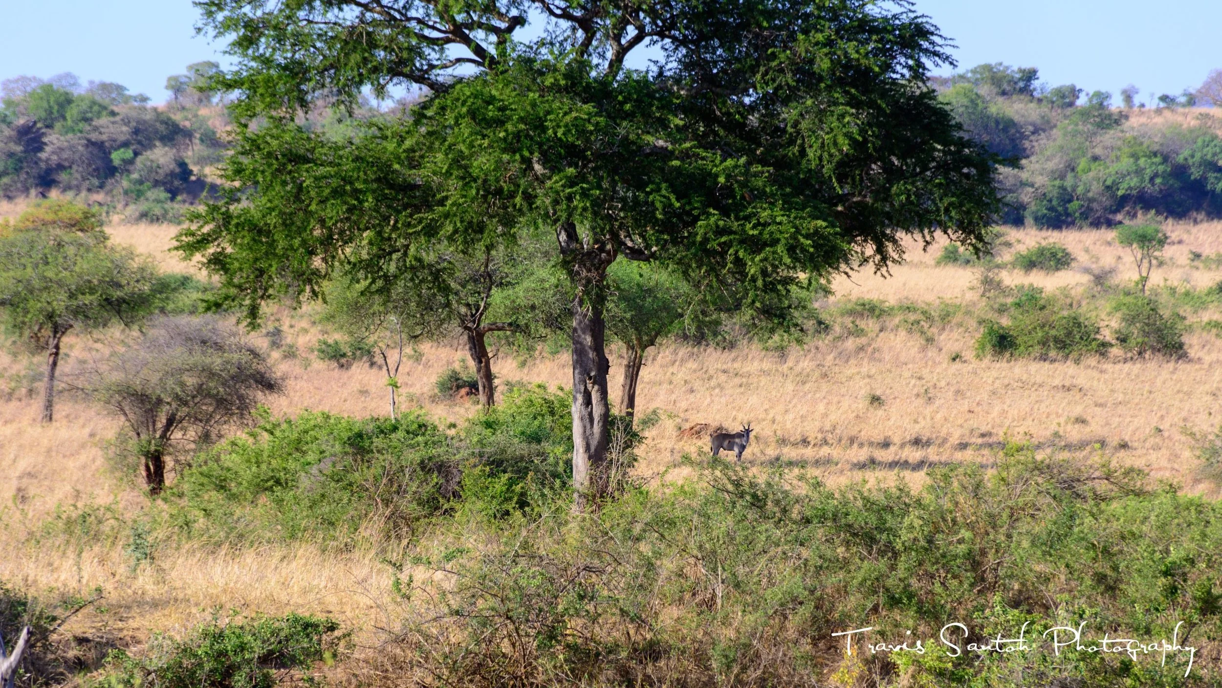 DSC_9692_2.jpg