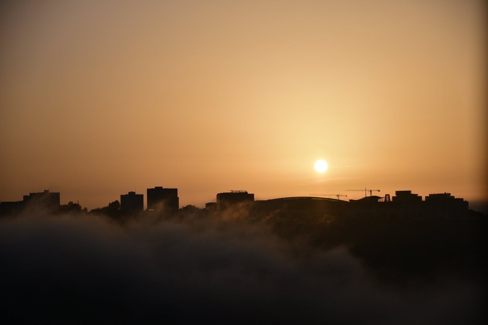 DSC_1255.jpeg