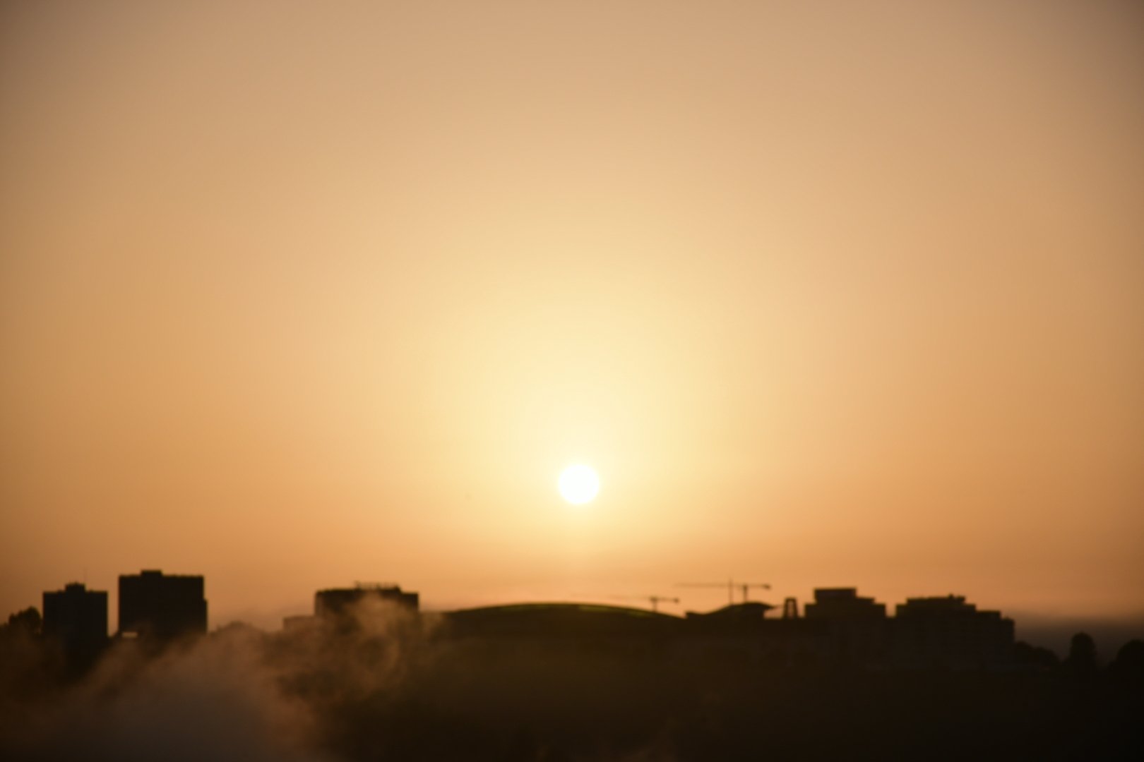 DSC_1251.jpeg