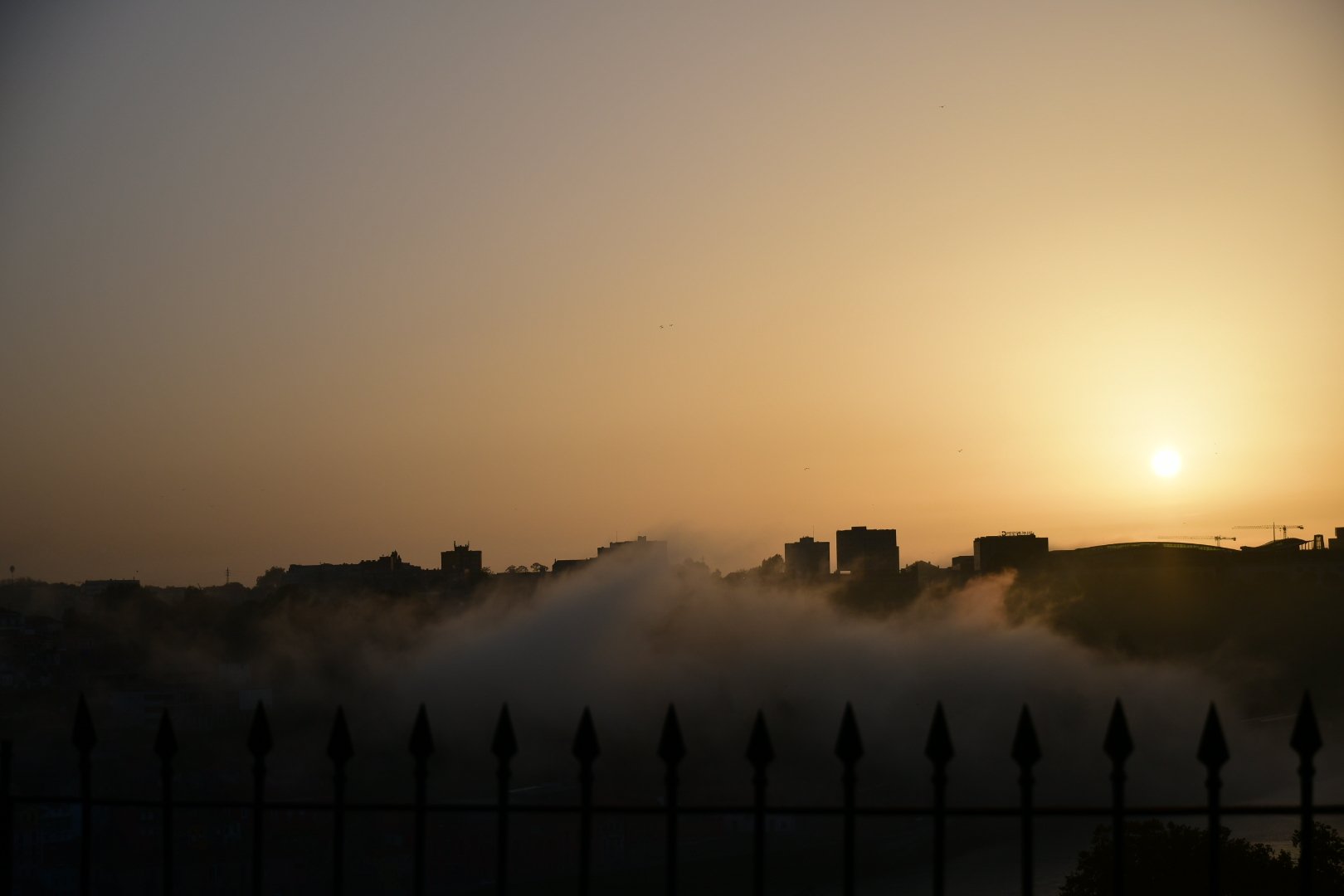 DSC_1253.jpeg
