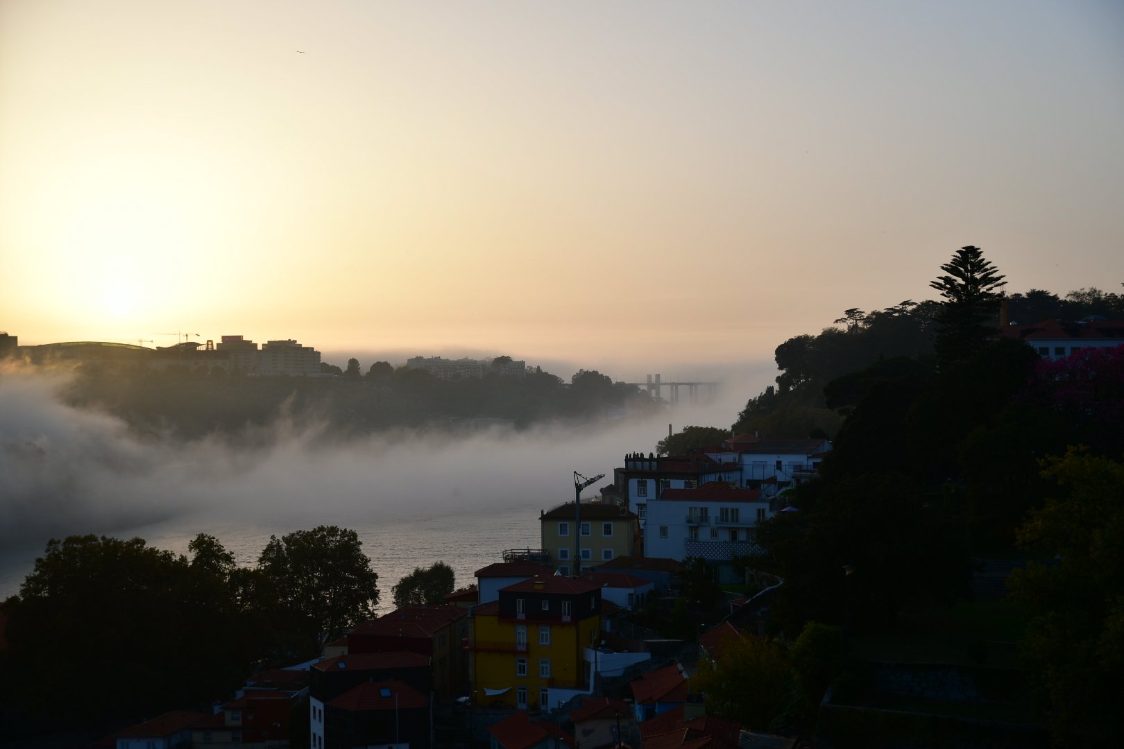 DSC_1257.jpeg