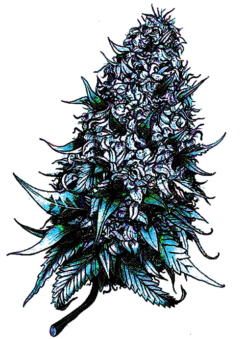 HempFlower2.jpg