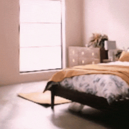 settingup-anm4.gif