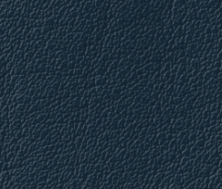 Plymalader-Slottskogen-blue.png