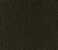 Plymalader-Slottskogen-dark-brown.png